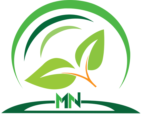 Thái Quang Company